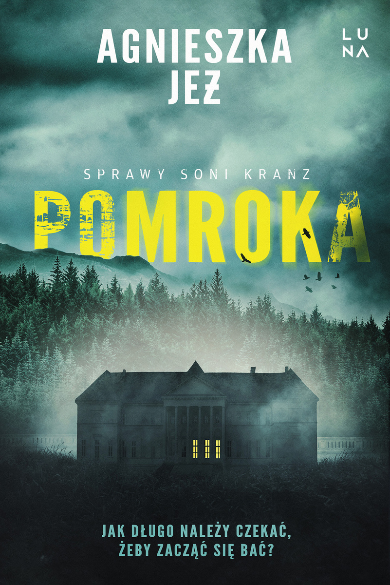 Pomroka. Cykl Sprawy Soni Kranz. Tom 1 (wielkie litery)
