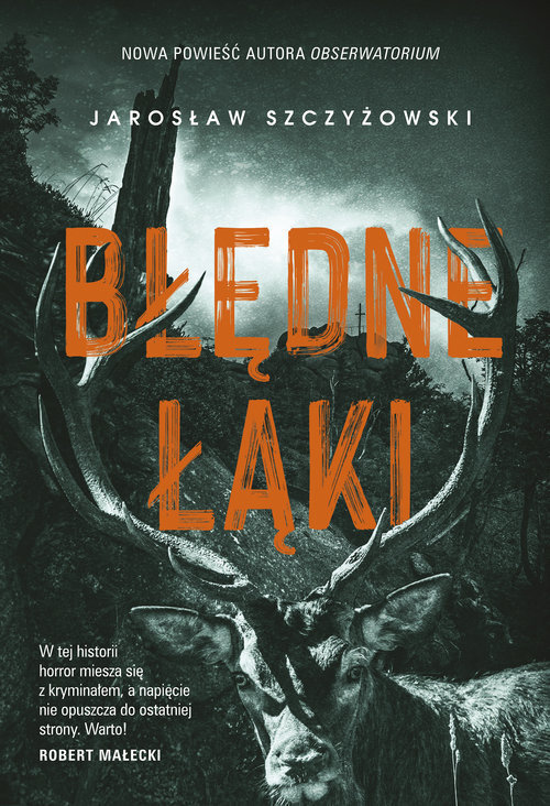 Błędne łąki (wielkie litery)